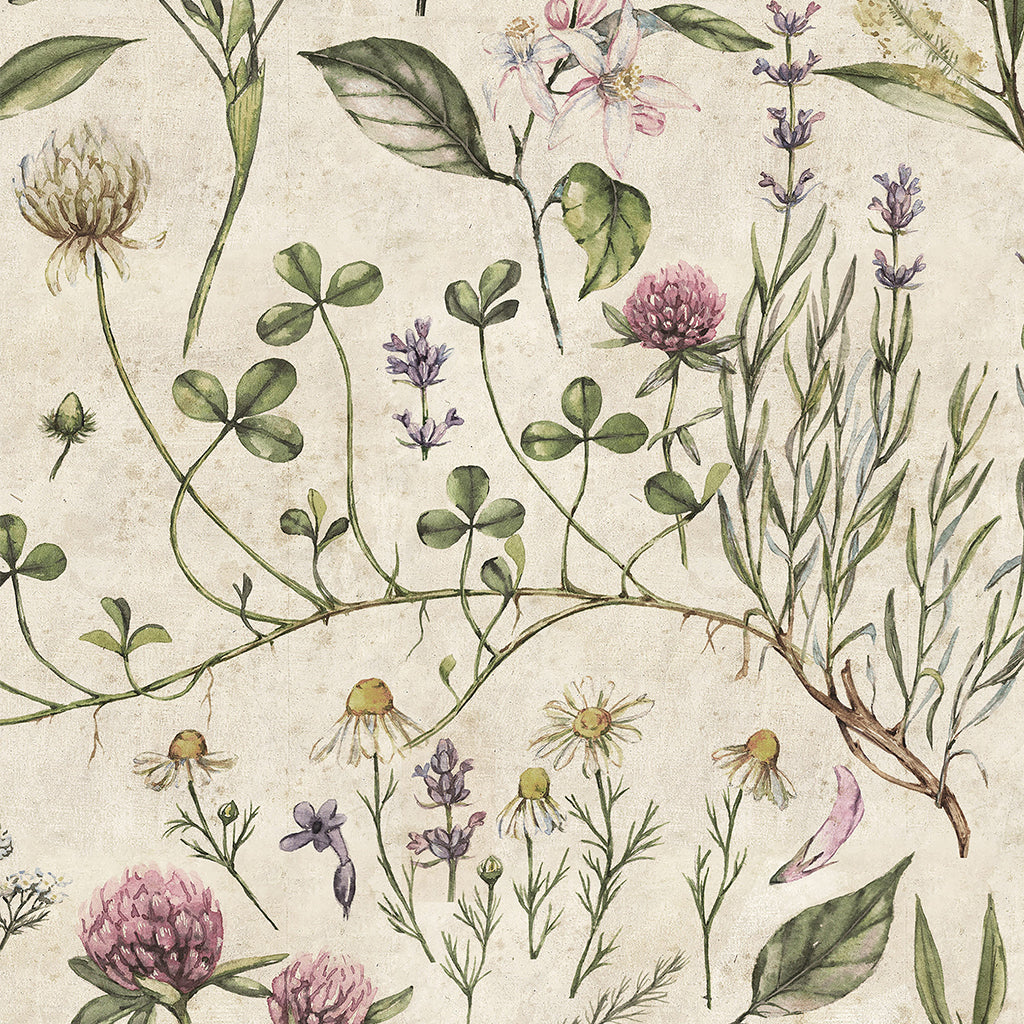 Vintage Botanic Illustration Wallpaper