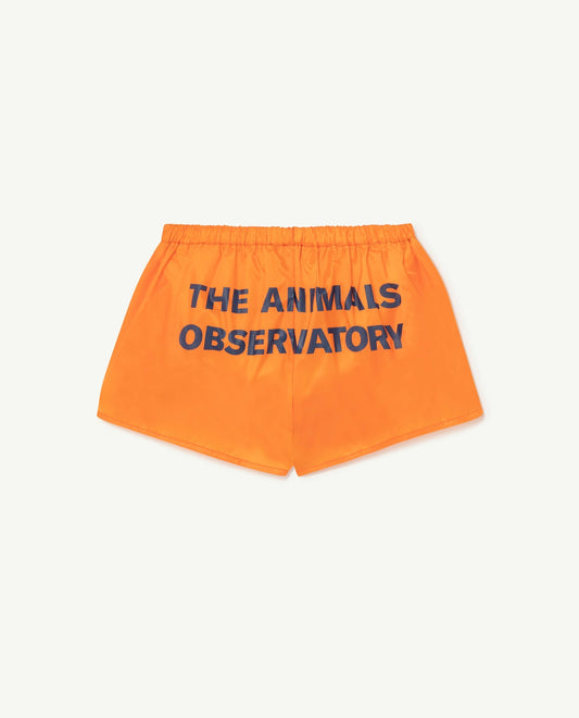 Puppy swimsuit Orange Swimsuits The Animals Observatory 